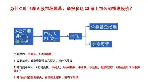 叶飞爆料官方消息视频网,网络信息传播背后的真相  第2张