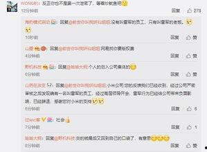 雷军爆料新产品视频播放,神秘新品视频播放,科技魅力一触即发!” 第3张 雷军爆料新产品视频播放,神秘新品视频播放,科技魅力一触即发!” 第3张